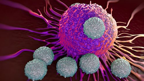 3D rending of a cancer cell