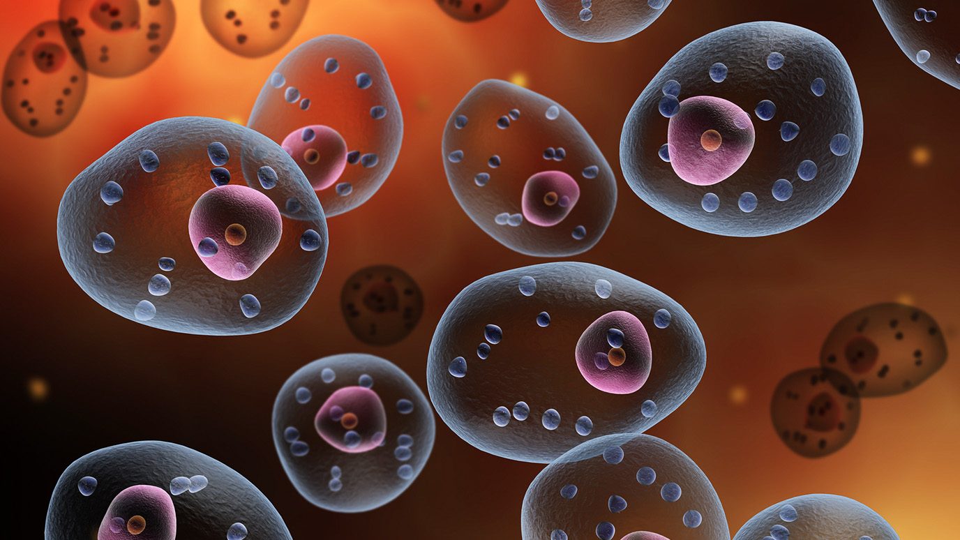 Animated image of mast cells 