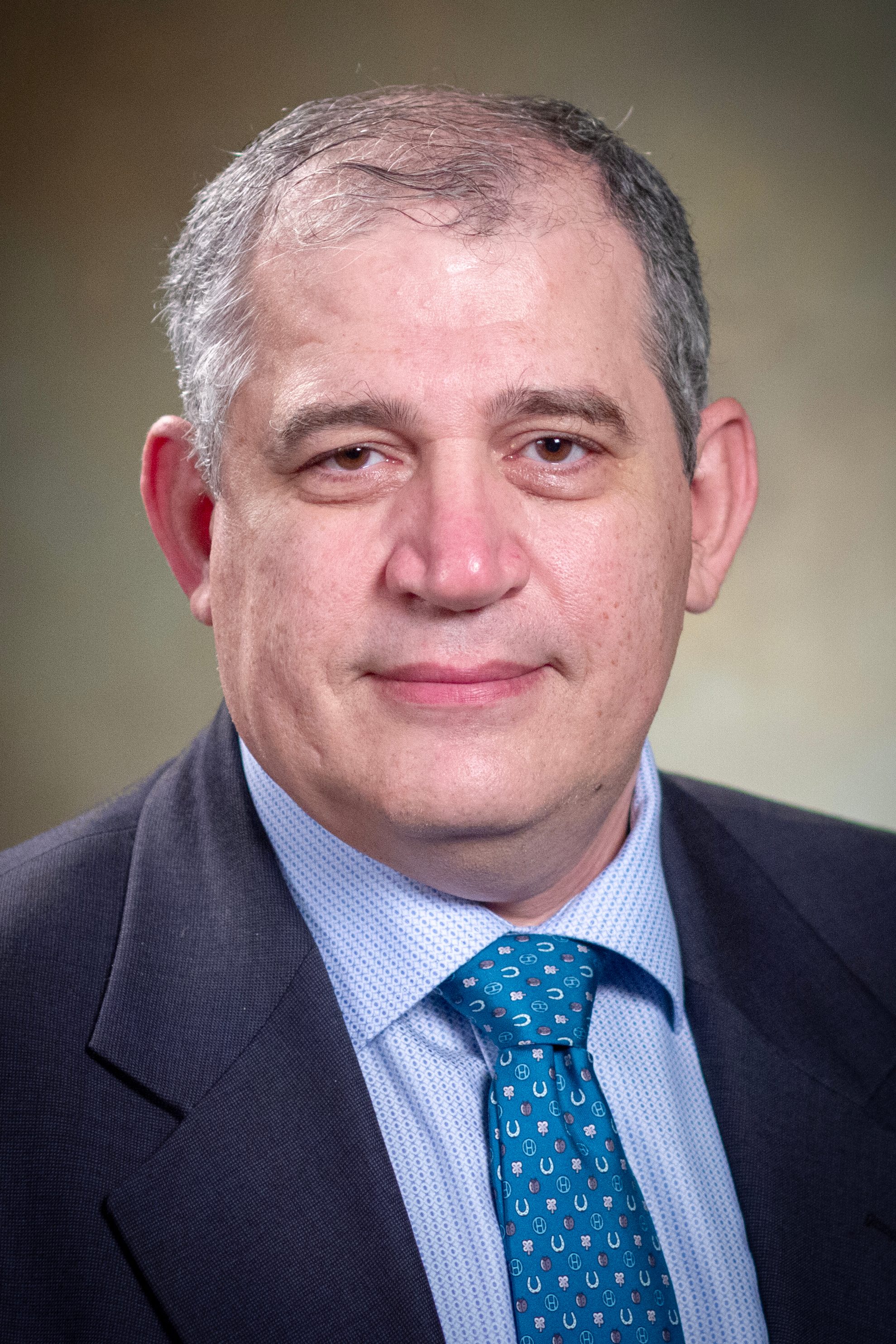Mahmoud Al-Hawary Image