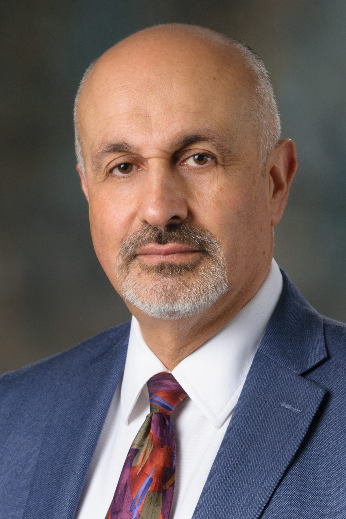 Mohammad R. Salehpour Image