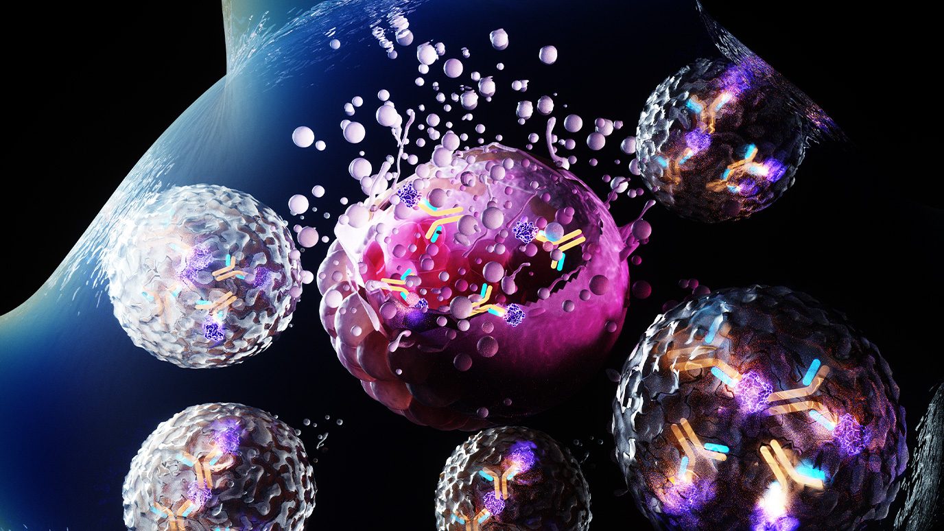 3D rendering of an antibody-toxin conjugate killing a cancer cell