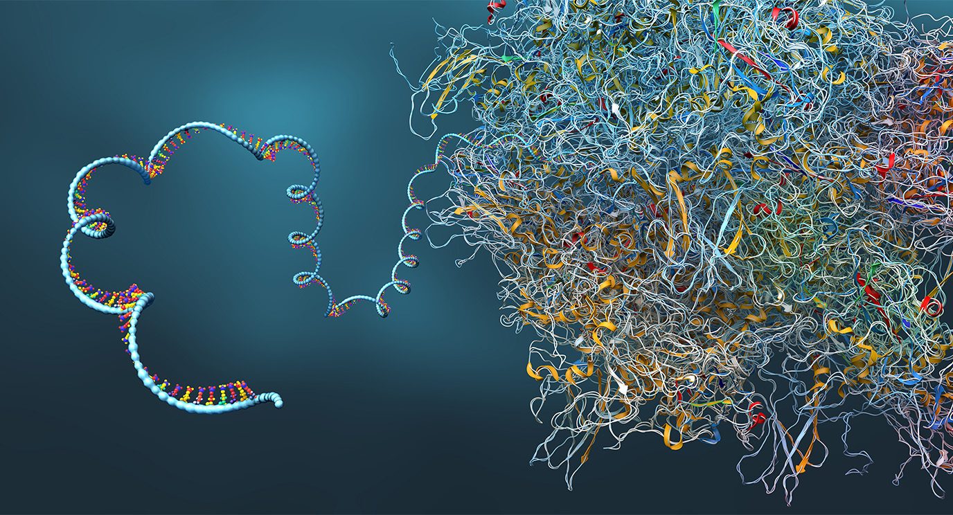 3D rending of mRNA molecule