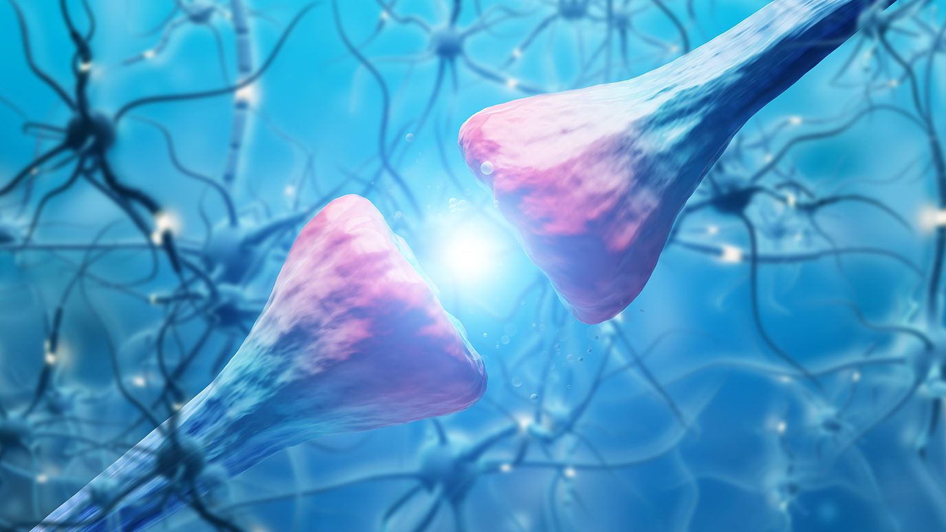 Image of brain neuron endings sending signals to each other
