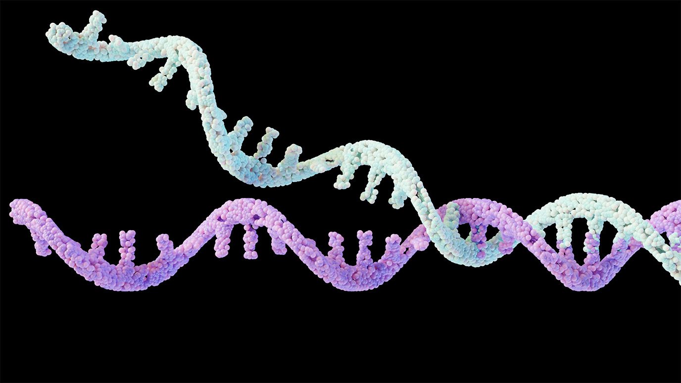 Image of DNA replication fork