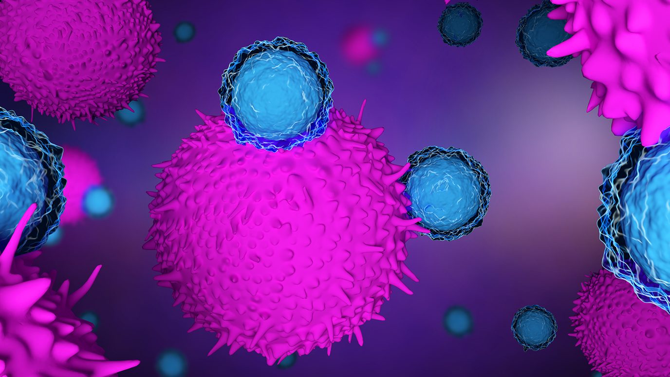 cancer cells being attacked by T cells