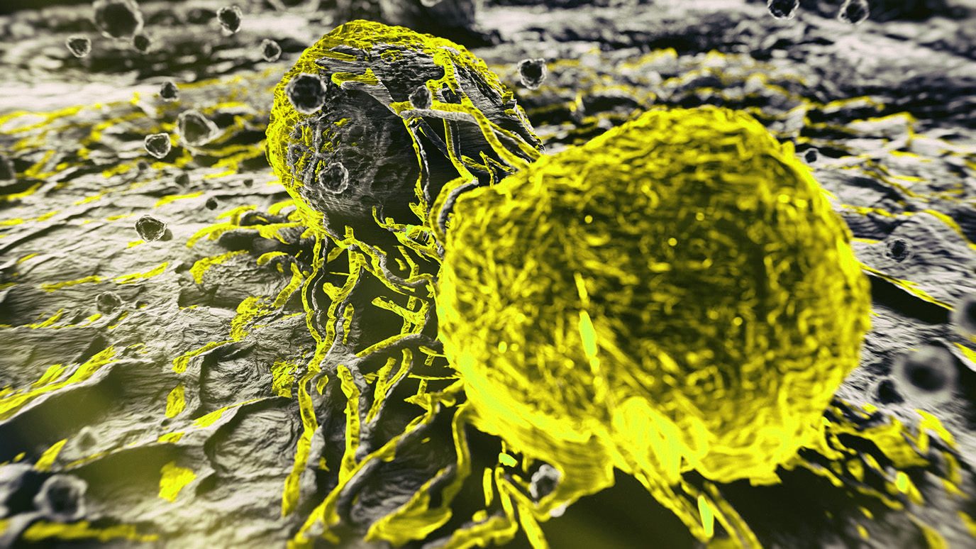 Lung Cancer Cells