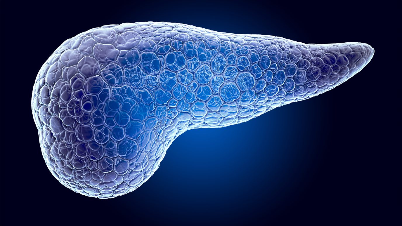 Image of pancreas