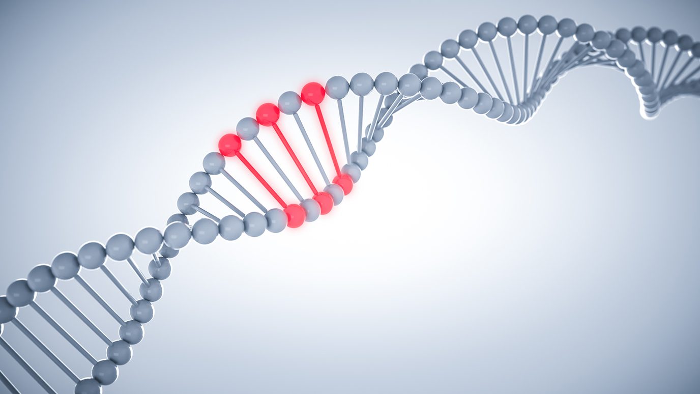 Image of gene showing mutations