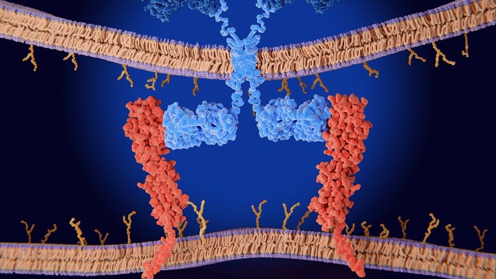 Image of molecular mechanism of CAR NK therapy