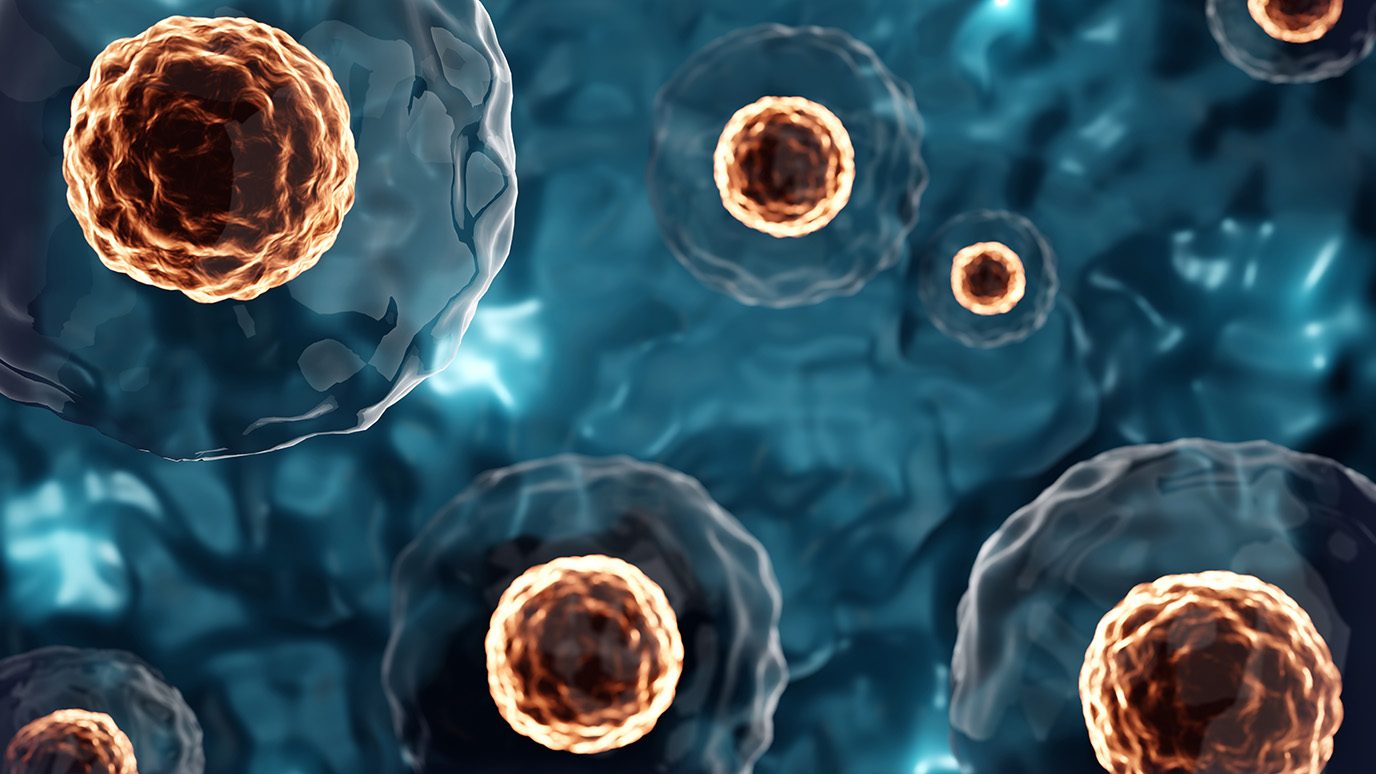 Close-up of stem cells