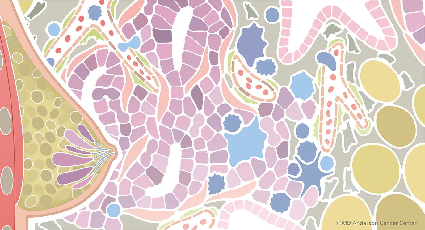 Colorful representation of tumor microenvironment next to breast tissue