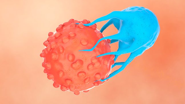 Graphic of cell therapy in orange and blue