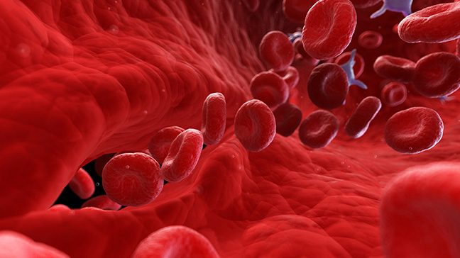 Illustration of red blood cells flowing through a blood vessel