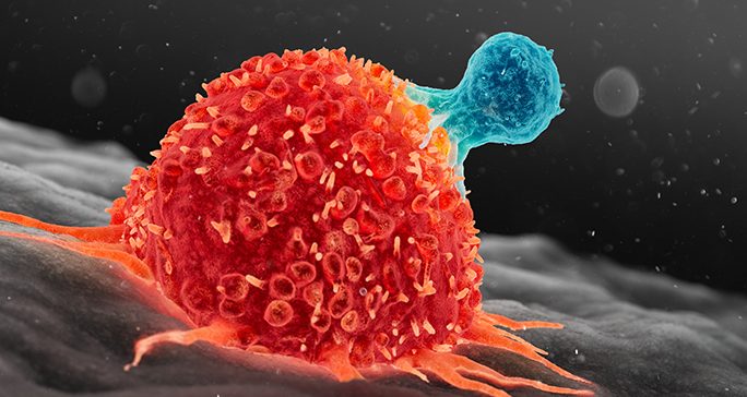 Graphic of T cells attacking a cancer cell