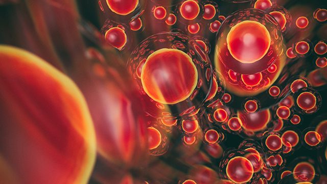 Illustration of cell division. Bright red circles on a black background.