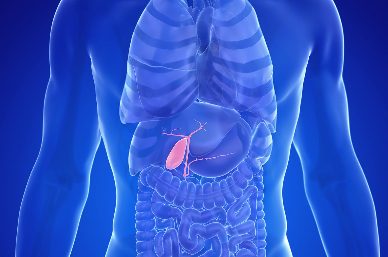 Blue background of the human body with the gallbladder colored in pink