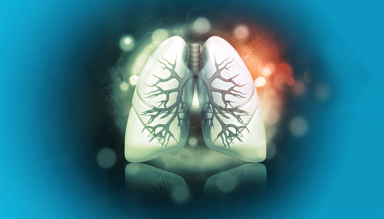 Image of lung on blue background