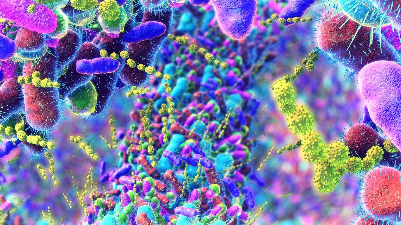 Animated picture of colorful bacteria 